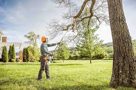 Best Storm Damage Tree Cleanup  in King City, OR